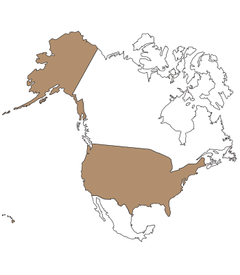 USA map