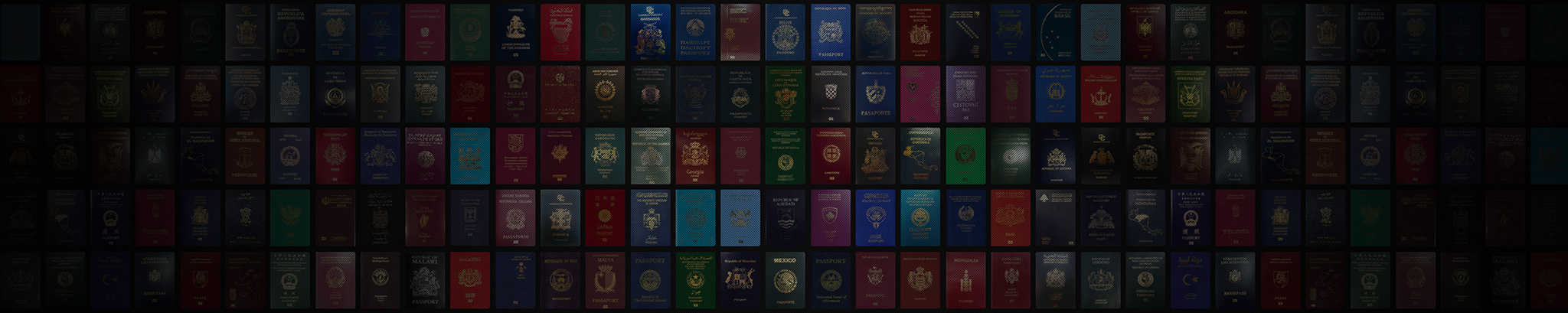 Passport Index hero